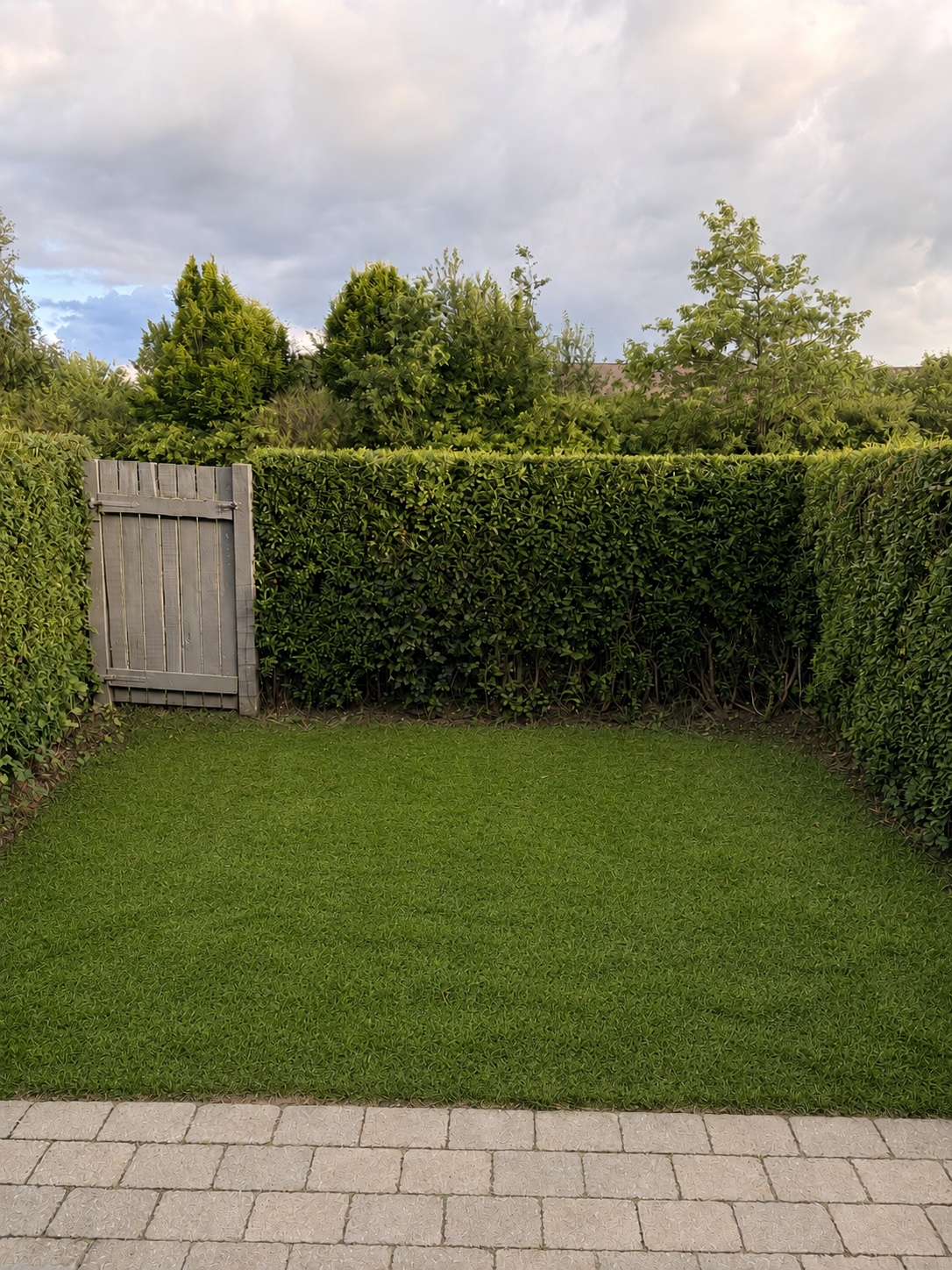 Efter-billede af haveområde med nyt grønt græs
